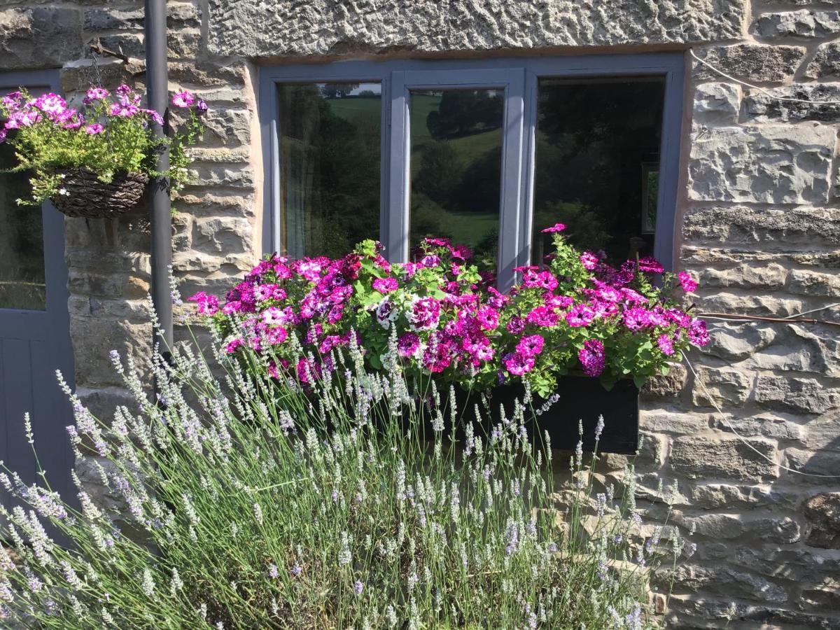 Holiday home Lee House Farm With Possible Use Of Hot Tub Ninety Pounds A Session