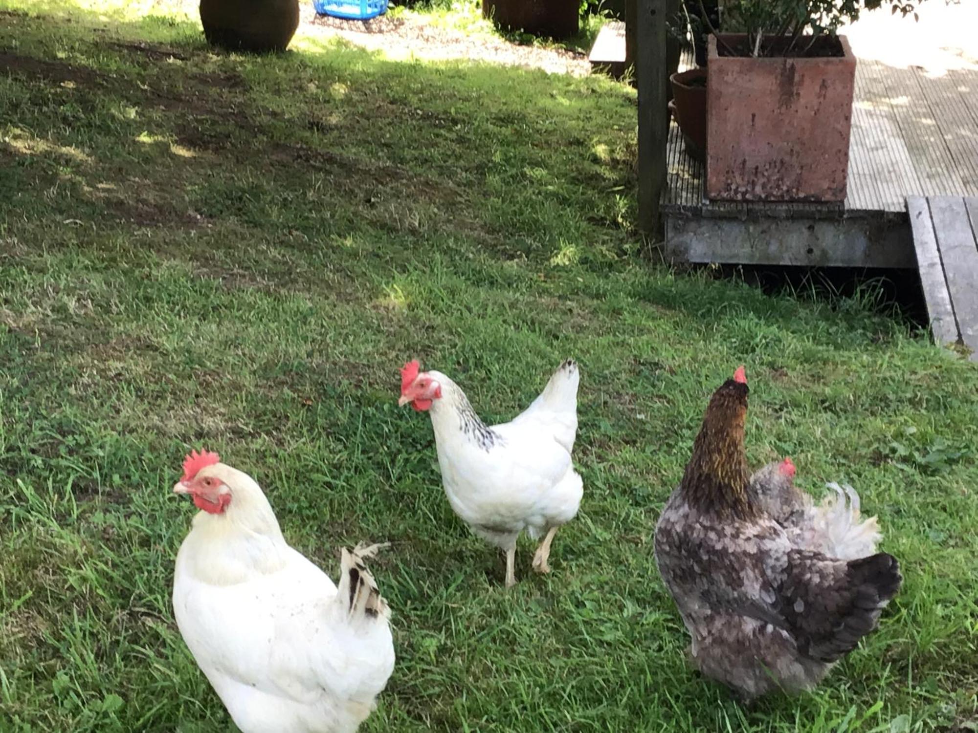 Lee House Farm With Possible Use Of Hot Tub Ninety Pounds A Session Waterfall